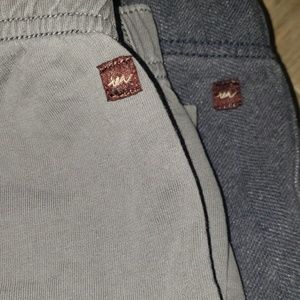 Tea collection pants